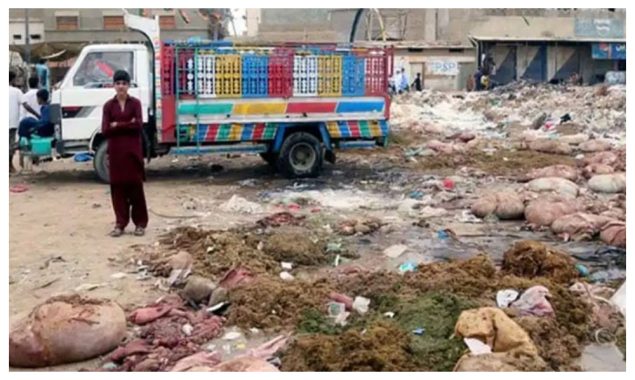 ڈمپرز ایسوسی ایشن کا عیدالاضحیٰ پر کراچی سے آلائشیں نہ اٹھانے کا اعلان