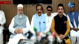 بھارت کی جارحیت کا منہ توڑ جواب دیا، پاکستان آگے بڑھنے کو تیار ہے، رانا ثناء اللہ