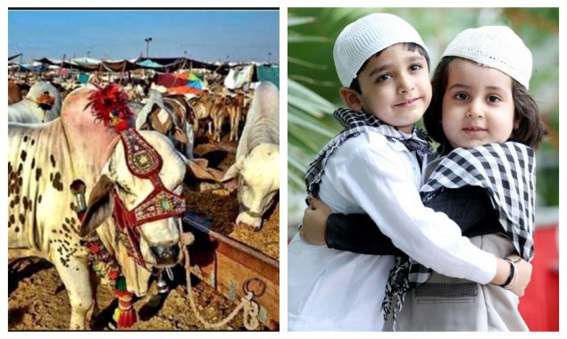 عیدالاضحیٰ کا دوسراروز؛ ملک بھر میں سنت ابراہیمیؑ کی پیروی کرتے ہوئے جانوروں کی قربانی جاری