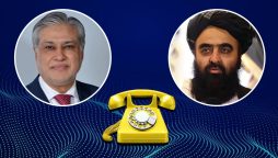 نائب وزیراعظم کا عبوری افغان وزیر خارجہ سے ٹیلیفونک رابطہ