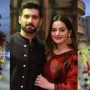 اداکار منیب بٹ کا ’قربانی کا اونٹ‘ فرار، مداحوں سے اہم اپیل