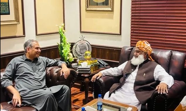 محسن نقوی کی مولانا فضل الرحمان سے اہم ملاقات، ملکی صورتحال پر تبادلہ خیال