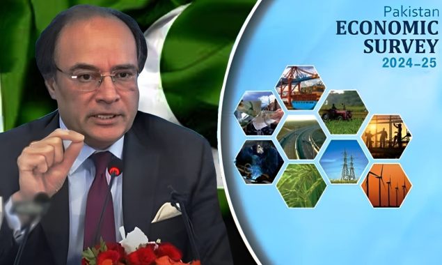 اقتصادی سروے جاری؛ معیشت بہتری کی جانب گامزن، مہنگائی اور قرضوں میں کمی
