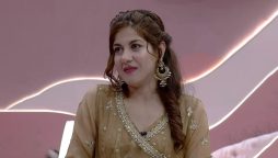 اداکارہ اریج محی الدین اپنے پیاروں کو یاد کرتے ہوئے جذباتی ہوگئیں