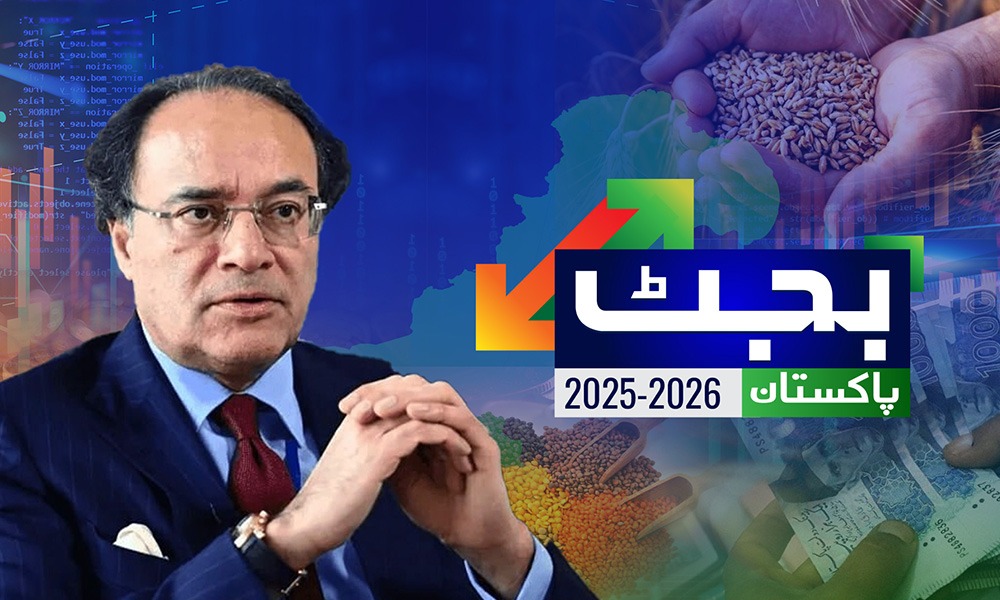 بجٹ 2025/26 پیش، تنخواہ 10 ،پنشنز میں 7 فیصد اضافہ،پیٹرول وڈیزل پرکاربن لیوی عائد