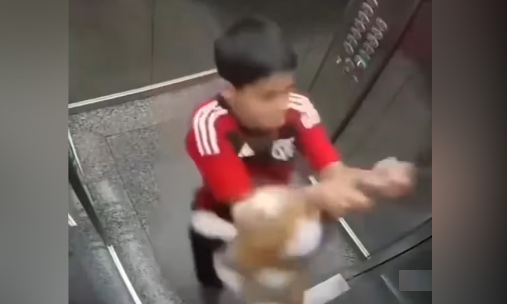 چھوٹے ہاتھ، بڑا کارنامہ! بچے نے کتے کی جان بچالی