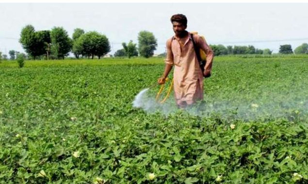 اقتصادی سروے 2024-25: زرعی شعبے کی گروتھ سست، بڑی فصلوں کی پیداوار میں نمایاں کمی