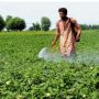 اقتصادی سروے 2024-25: زرعی شعبے کی گروتھ سست، بڑی فصلوں کی پیداوار میں نمایاں کمی