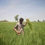 حکومتِ پاکستان کا کسانوں کے لیے ڈیجیٹل قرضوں کا اجراء