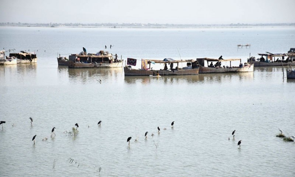منچھر جھیل کی بحالی کیلئے 8 ملین ڈالر کا منصوبہ تیار