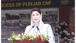 وزیراعلیٰ پنجاب کا منشیات فروشوں کیخلاف زیروٹالرنس پالیسی کا اعلان