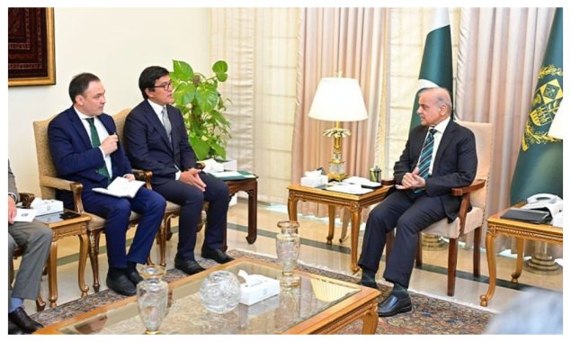 وزیراعظم کا پاکستان اور کرغزستان تعاون میں پیشرفت پر اطمینان کا اظہار