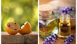 مکھیوں سے نجات کیلئے یہ کار آمد طریقے آزمائیں