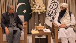 فسادی تنظیموں کو مل کر روکنا ہوگا،پاک افغان وزرائے داخلہ کا اتفاق
