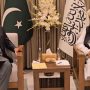 فسادی تنظیموں کو مل کر روکنا ہوگا،پاک افغان وزرائے داخلہ کا اتفاق