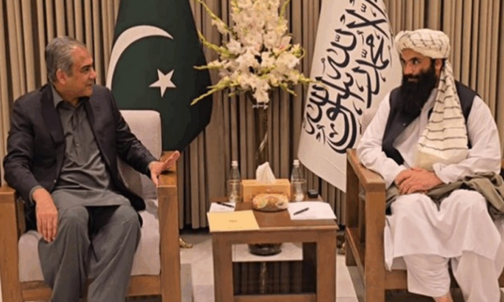 فسادی تنظیموں کو مل کر روکنا ہوگا،پاک افغان وزرائے داخلہ کا اتفاق