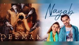 شنگھائی فیسٹیول میں پاکستانی فلم ’دیمک‘ اور ’نایاب‘ کی دھوم، اہم ایوارڈز اپنے نام کرلیے