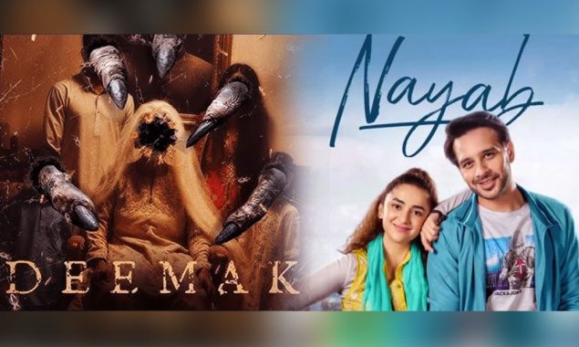 شنگھائی فیسٹیول میں پاکستانی فلم ’دیمک‘ اور ’نایاب‘ کی دھوم، اہم ایوارڈز اپنے نام کرلیے