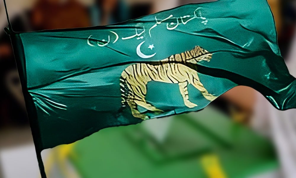 آزاد کشمیر انتخابات؛ کمیٹی اہم فیصلے کرے گی، ن لیگ قیادت کا اعلان