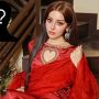 علیزے شاہ کا ’مسٹری مین‘ کون؟ سوشل میڈیا پر نئی بحث کا آغاز