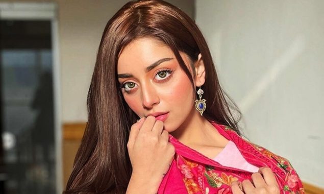علیزے شاہ نے شوبز سے کنارہ کشی کی اصل وجہ بتا دی