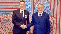 پاک تھائی وزرائے خارجہ کا دوطرفہ تعلقات میں مثبت پیش رفت پر اظہاراطمینان