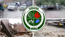 این ڈی ایم اے کا امریکی سینٹرل کمانڈ اور ڈیزاسٹر ریسپانس گروپ کے ساتھ مشاورتی اجلاس