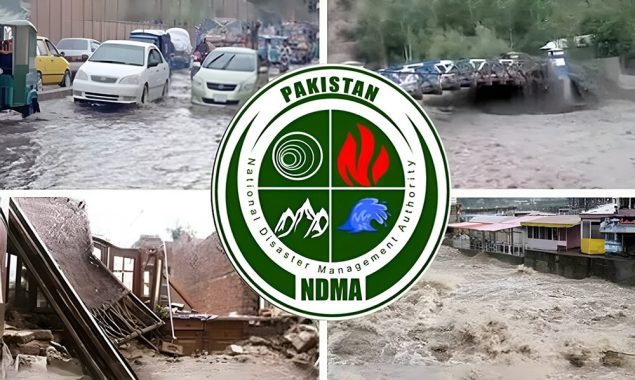 این ڈی ایم اے کا امریکی سینٹرل کمانڈ اور ڈیزاسٹر ریسپانس گروپ کے ساتھ مشاورتی اجلاس