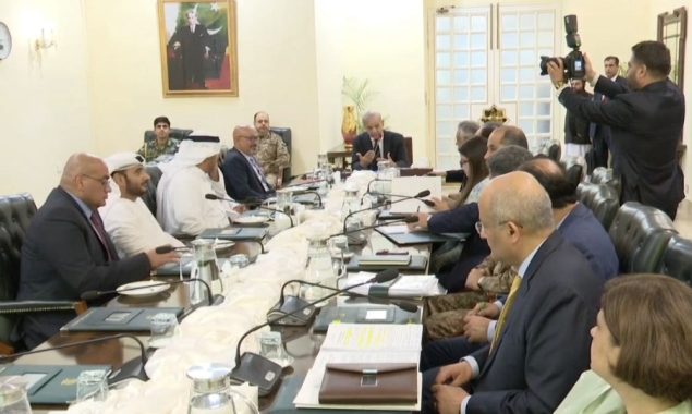 اماراتی کمپنیاں طویل عرصے سے پاکستان کی معیشت میں کلیدی کردار ادا کر رہی ہیں