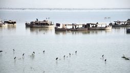 منچھر جھیل کی بحالی کیلئے 8 ملین ڈالر کا منصوبہ تیار