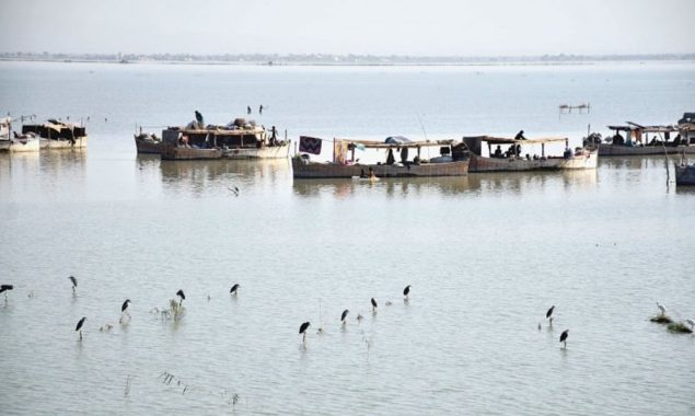 منچھر جھیل کی بحالی کیلئے 8 ملین ڈالر کا منصوبہ تیار