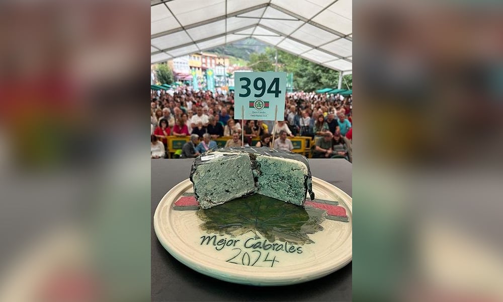 اس پنیر نے نہ صرف ایک عالمی مقابلہ جیتا بلکہ گنیز ورلڈ ریکارڈ میں بھی اپنا نام درج کروا لیا