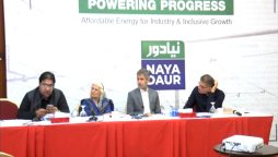 پاکستان میں اس وقت تقریباً 30 ہزار میگاواٹ بجلی استعمال ہو رہی ہے