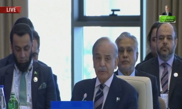 وزیراعظم شہباز شریف ای سی او اجلاس سے خطاب کرتے ہوئے