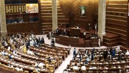 رانا ثناء اللہ کے گھر پر حملہ کیس، مزید 2 ارکان اسمبلی کی نااہلی کا خدشہ