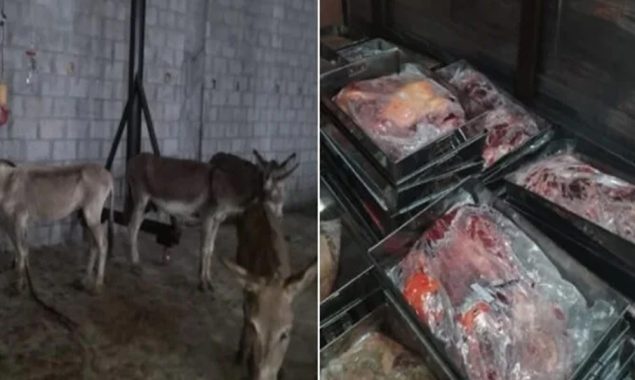 اسلام آباد سے گدھوں کے گوشت کی ترسیل کہاں ہورہی تھی؟ ہوشربا انکشافات