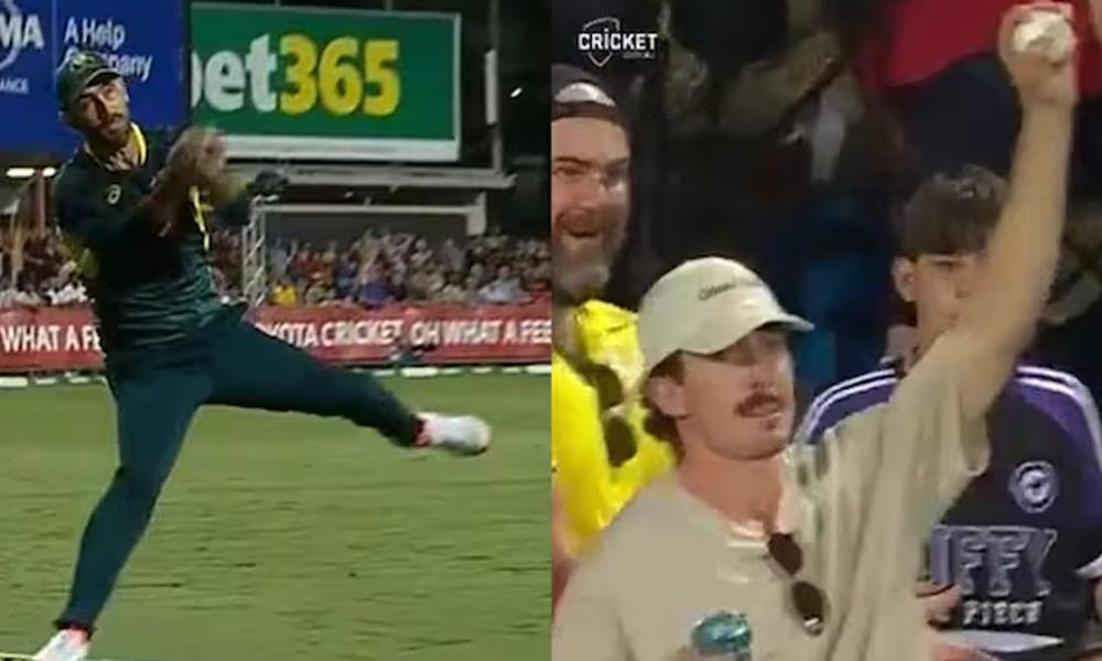 میکسویل اور شائق کی شاندار کیچز نے سب کو حیران کردیا