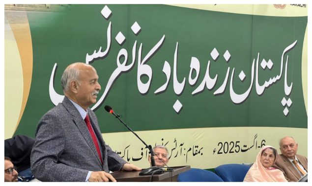 پاکستان کی بھارت پر تاریخی فتح نے جنوبی ایشیا کا سیاسی منظر نامہ بدل دیا، مشاہد حسین