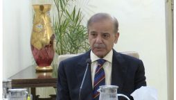 پاکستان اور جاپان تجارتی و صنعتی تعاون کی بحالی کے لیے پرعزم ہیں، وزیراعظم