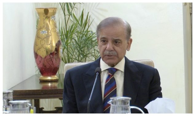 پاکستان اور جاپان تجارتی و صنعتی تعاون کی بحالی کے لیے پرعزم ہیں، وزیراعظم