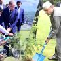 مون سون شجرکاری مہم؛ ہمیں زیادہ سے زیادہ درخت لگانے کی ضرورت ہے، صدر و وزیراعظم
