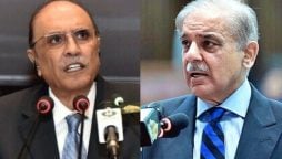 بھارتی سرپرستی میں سرگرم دہشتگرد عناصر کا جلد قلع قمع کیا جائے گا، صدر و وزیراعظم