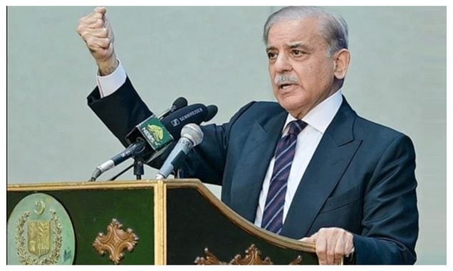 وزیراعظم کی جانب سے آزاد کشمیر عوامی ایکشن کمیٹی کا قیام خوش آئند اقدام قرار
