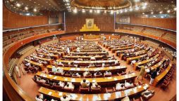 تحریک انصاف کا تمام کمیٹیوں سے استعفے کا اعلان، نوید قمر نے صدارت سنبھال لی