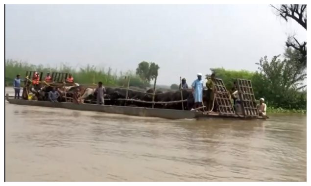 پنجاب: سیلابی علاقوں میں پاک فوج کا ریسکیو اینڈ ریلیف آپریشن جاری