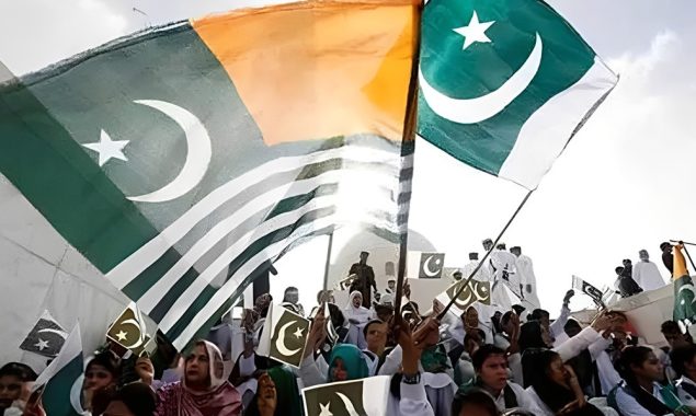 یومِ استحصال؛ کشمیریوں کے ساتھ کھڑے ہیں اور ہمیشہ رہیں گے، وفاقی وزراء کا عزم