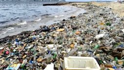 بارشوں کے بعد سمندری آلودگی میں اضافہ، بندرگاہوں کی صفائی مہم شروع