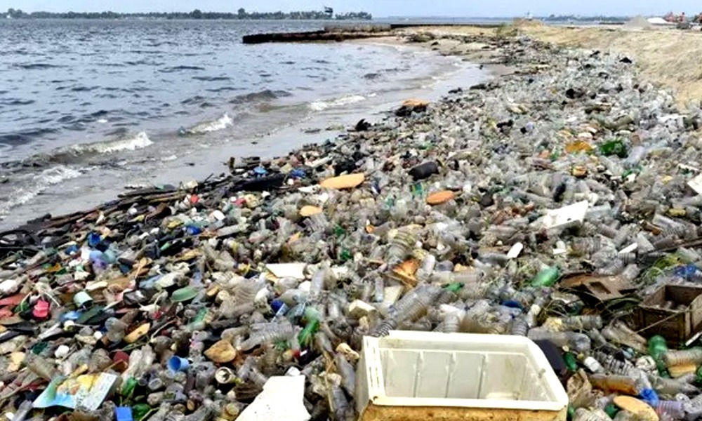 بارشوں کے بعد سمندری آلودگی میں اضافہ، بندرگاہوں کی صفائی مہم شروع
