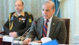 چینی ٹیکنالوجی قدرتی آفات سے نمٹنے میں پاکستان کے لیے سودمند ہوگی، وزیراعظم