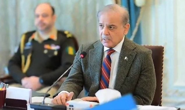 چینی ٹیکنالوجی قدرتی آفات سے نمٹنے میں پاکستان کے لیے سودمند ہوگی، وزیراعظم